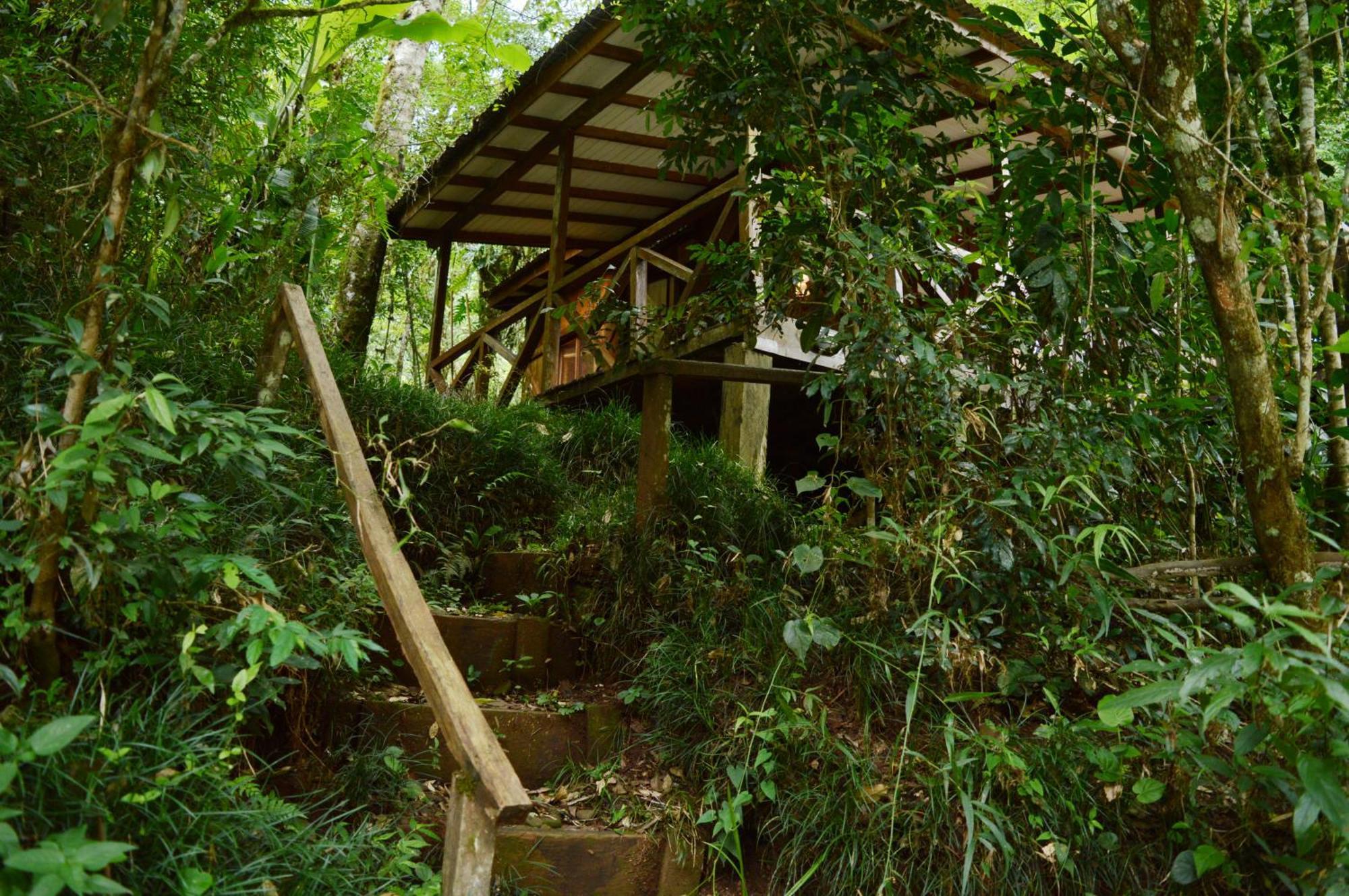 Margay - Reserva Natural Y Lodge De Selva 엘 소베르비오 외부 사진